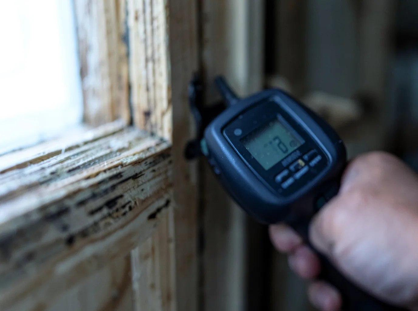 Moisture Inspection And Documentation in Theodore, AL